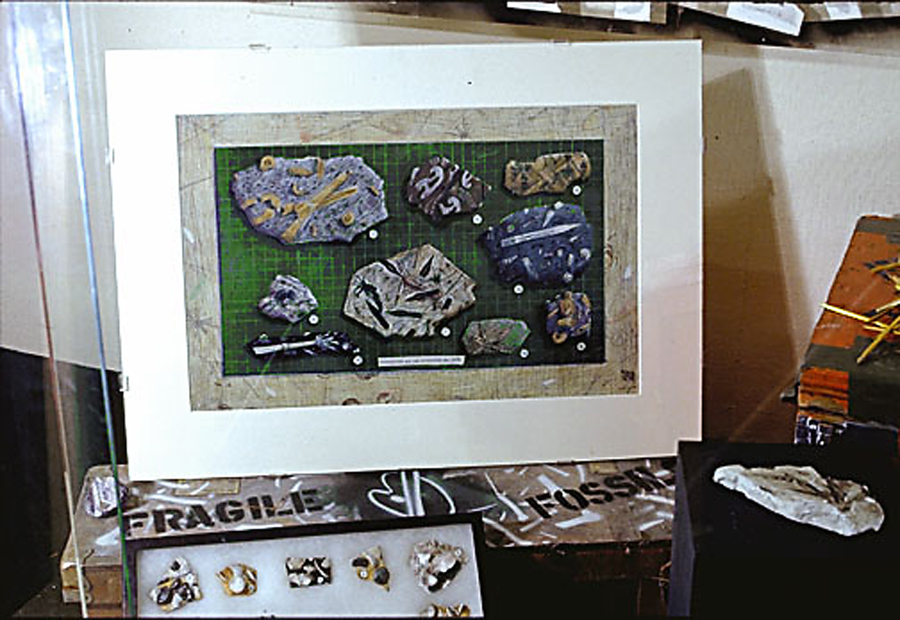 Fossil Room (Detail) by C.T. Chew