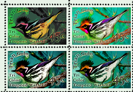 Tri Color Toupeed Warbler