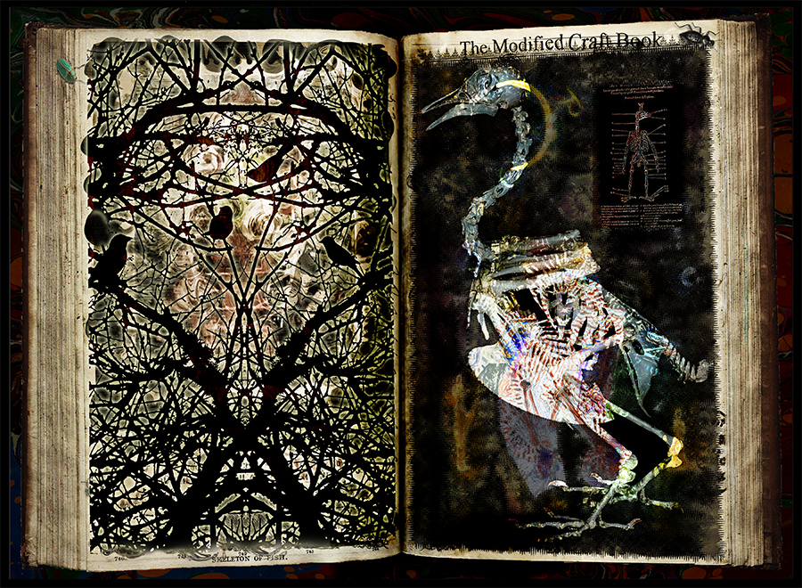 MCB: Thicket by C.T. Chew