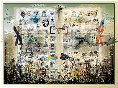 MCB: Dragonfly by C.T. Chew