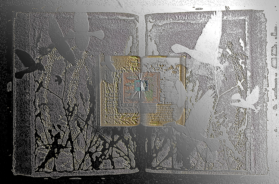 MCB: The Shining One by C.T. Chew