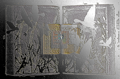 MCB: The Shining One by C.T. Chew