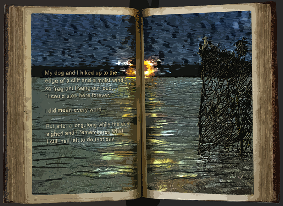 MCB: Last Light 2 by C.T. Chew